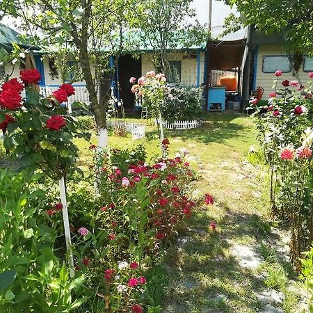Camping Casuta Mihaela Crisan  Buitenkant foto
