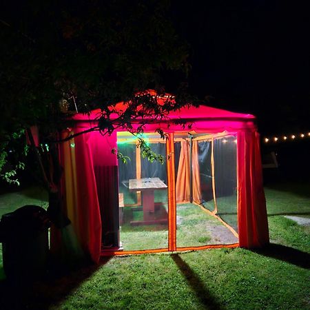 Camping Casuta Mihaela Crisan  Buitenkant foto