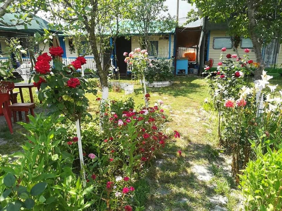 Camping Casuta Mihaela Crisan  Buitenkant foto