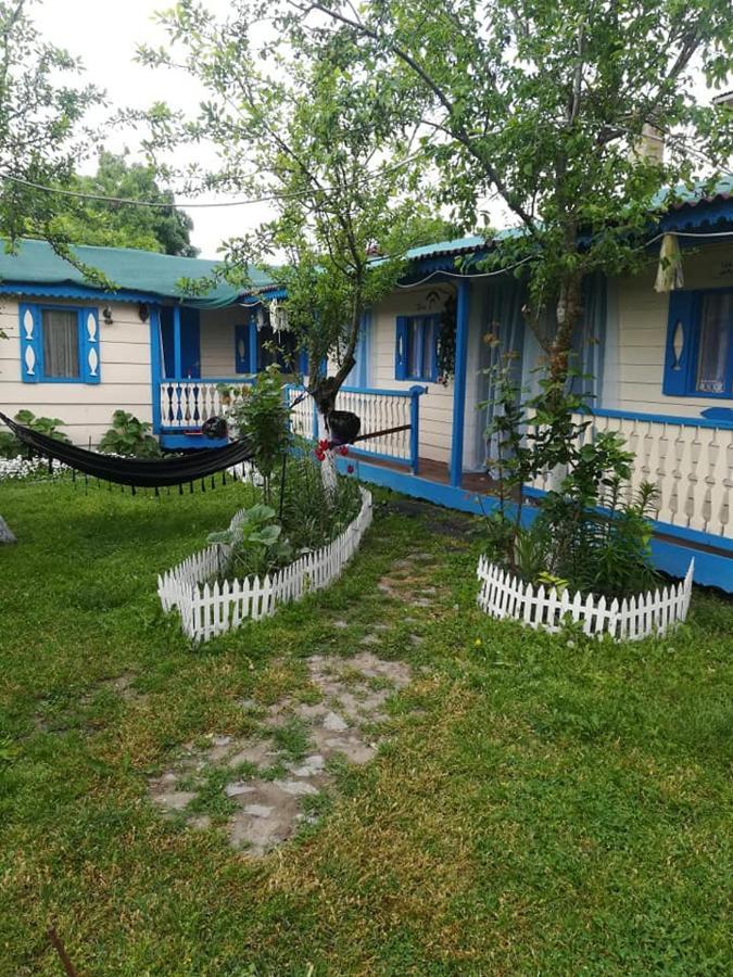 Camping Casuta Mihaela Crisan  Buitenkant foto