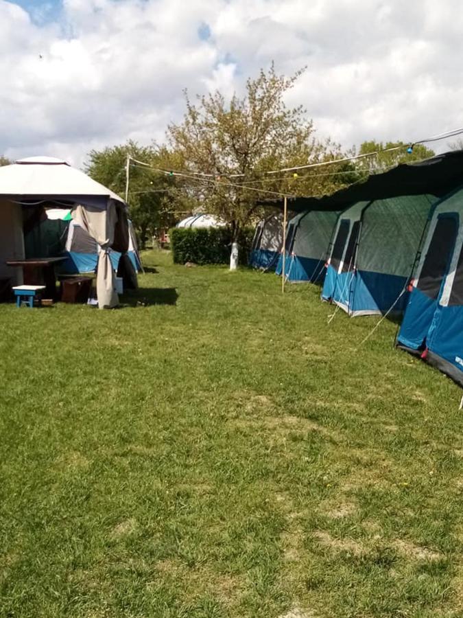 Camping Casuta Mihaela Crisan  Buitenkant foto