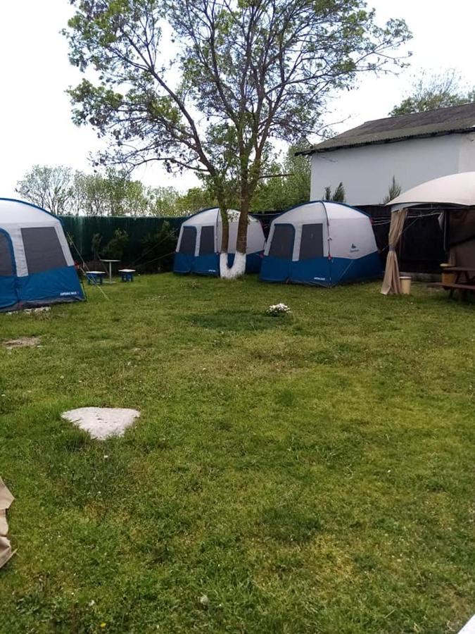 Camping Casuta Mihaela Crisan  Buitenkant foto