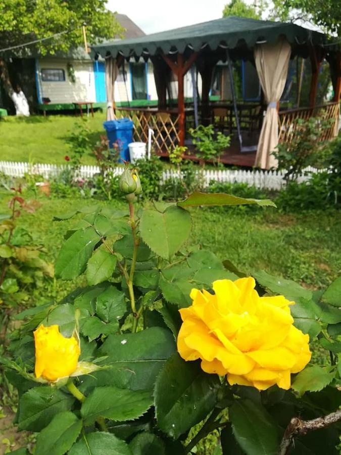 Camping Casuta Mihaela Crisan  Buitenkant foto