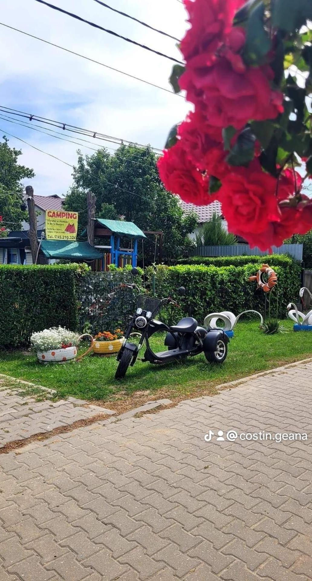 Camping Casuta Mihaela Crisan  Kamer foto