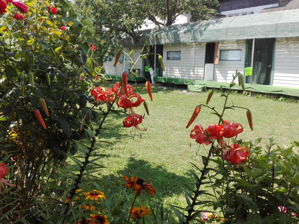 Camping Casuta Mihaela Crisan  Buitenkant foto