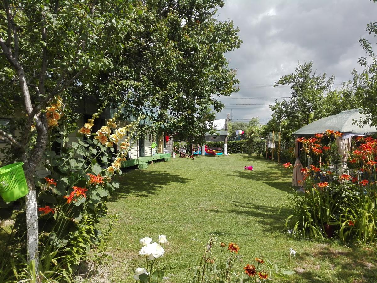 Camping Casuta Mihaela Crisan  Buitenkant foto