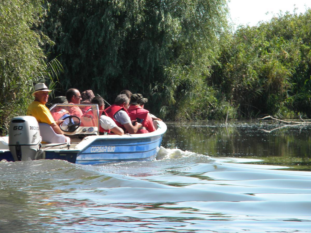 Camping Casuta Mihaela Crisan  Buitenkant foto