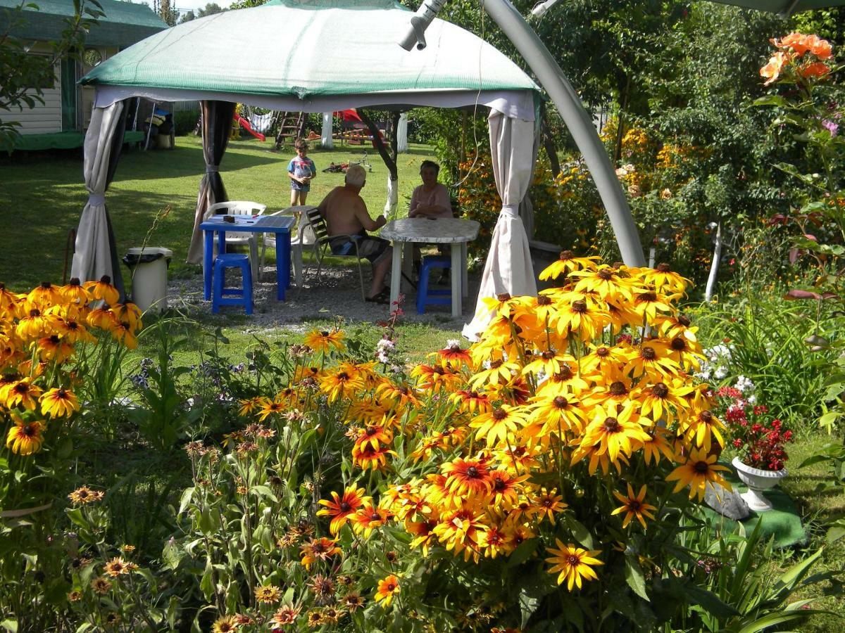 Camping Casuta Mihaela Crisan  Buitenkant foto